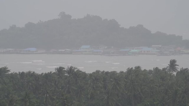Intense winds bend palm trees as rain pours down heavily in a coastal location. Waves crash fiercely against the shore