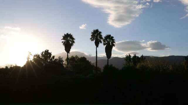 palm trees and sunset, Stanford, South Africa