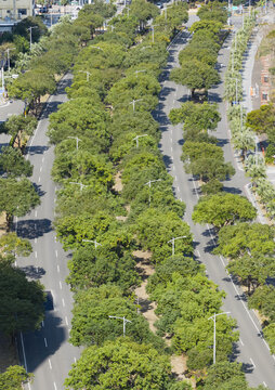 Aerial view of a multi-lane road lined with dense green trees and streetlights under bright daylight in Hsinchu, Hsinchu City, Taiwan.