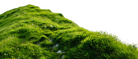 Naklejka premium Green grassy hill slope isolated on transparent background
