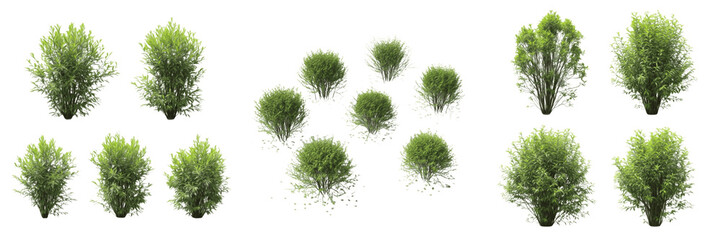 Set of Small Green Round Bushes for Landscaping and Garden Design, Decorative Shrub Plants for Outdoor Architecture, Minimalist Botany Elements on White Background