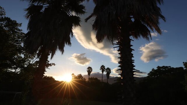 palm trees and sunset, Stanford, South Africa