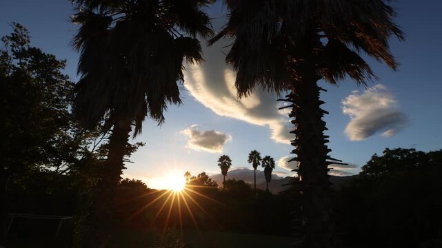palm trees and sunset, Stanford, South Africa
