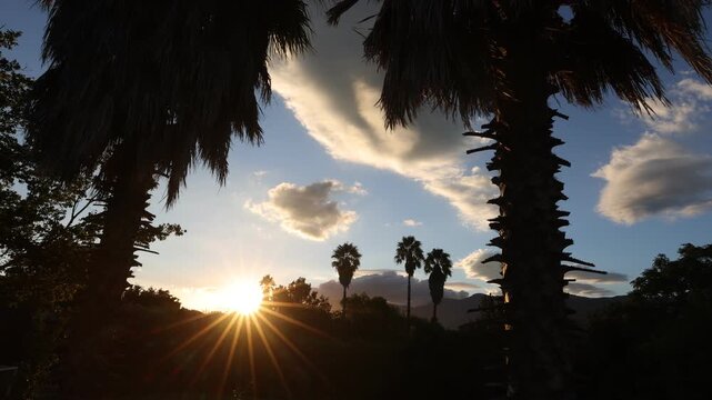 palm trees and sunset, Stanford, South Africa