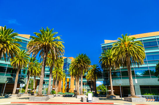 Mountain View, California - September 17, 2022: Scenic sunny view of modern glass office buildings and palm trees at the Googleplex Google headquarters campus in California, United States.