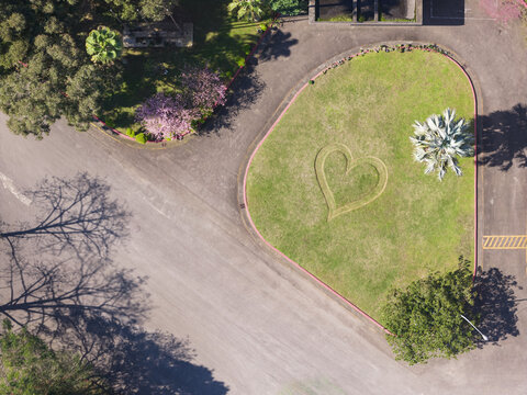 Aerial view of a heart shape mown into a green lawn surrounded by trees with pink blossoms and paved paths in Taiwan.