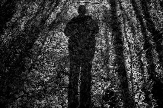 silhouette en ombre sur un sol de foret recouvert de feuilles en noir et blanc