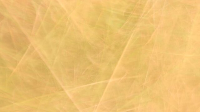 Orange color  fast move ground summer video