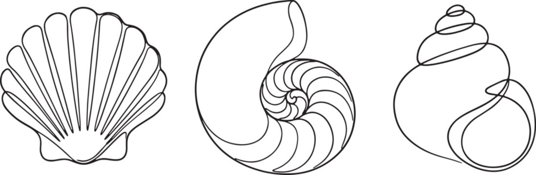 outline set of seashell nautilus and spiral shells isolated on transparent background vector illustration.