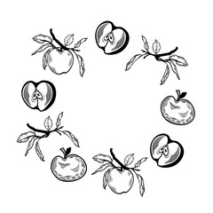 Apple fruit wreath circle frame with branches and slices illustration. Hand drawn apple fruit branch circular border on transparent background © Natalia