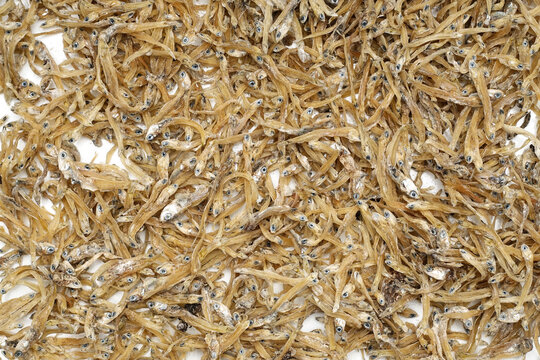 A pile of dried anchovies (ikan teri medan) isolated white background. the textured details of the naturally dried small fish. culinary content, traditional cooking ingredients, seafood markets