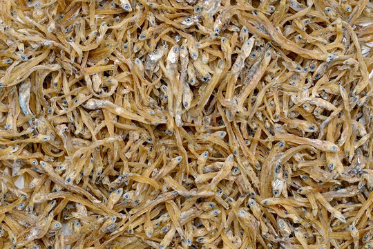 A pile of dried anchovies (ikan teri medan) isolated white background. the textured details of the naturally dried small fish. culinary content, traditional cooking ingredients, seafood markets