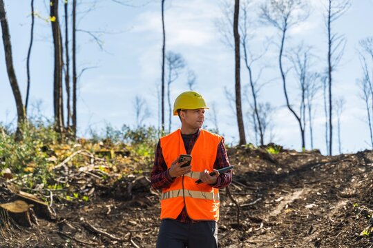 Forestry inspector using smartphone and tablet in deforested area