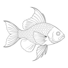 Realistic Detailed Fish Scales Coloring Page © MstJahanara