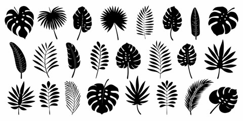Collection of various tropical leaves in a black and white illustration © Shobuj