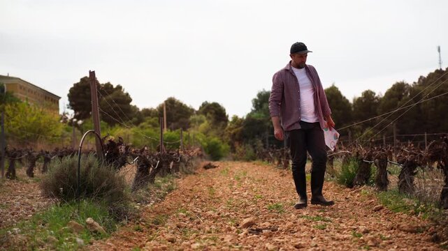 Male farmer holding chart walking along dry soil path between vineyard rows, then crouching to inspect dormant grapevines. Agriculture analysis, drought conditions and crop health monitoring concept