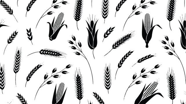 black and white illustration of various wheat and corn stalks on white background