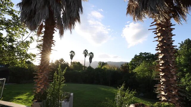 palm trees and sunset, Stanford, South Africa