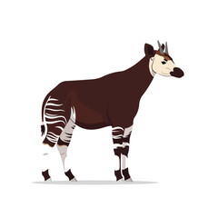 Obraz premium African animal with distinctive stripes standing isolated