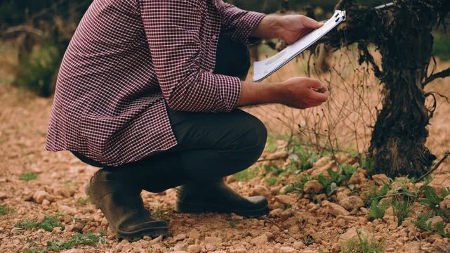 Professional agronomist in field inspecting soil with clipboard, analyzing earth quality and collecting samples for agricultural research, sustainable farming and crop production.
