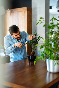 A calm weekend moment of a man trimming plants at home, connecting with nature and finding peace