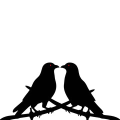 Fototapeta premium Two black birds sitting facing each other on a branch 