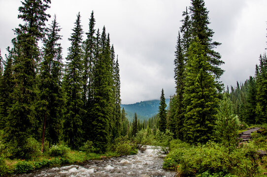 Landscape river among stones, fast flow of water reservoir summer Ergaki Siberia