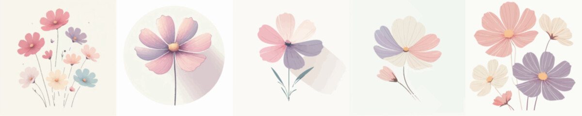 Vector of cosmos flower © FirdianKrisna