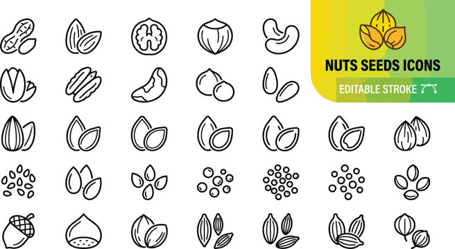 A collection of 20 minimalist nut and seed icons in a flat design style, ideal for food packaging, healthy eating apps, nutrition guides, and wellness marketing materials.