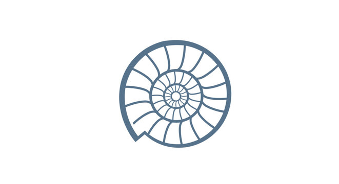 A blue nautilus shell spiral design.