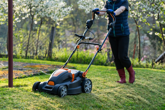 Middle aged woman houseowner mowing the lawn on backyard of his house.