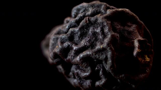 Macro of Dried Pear (Pyrus communis) Showing Detailed Shriveled Epidermis and Dehydrated Cellular Structure, Extreme Close-up on Black Background
