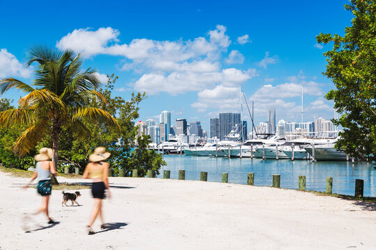Two motion blurred people walking their dog along the sandy waterfront of Watson Island,  with a picturesque view of the downtown Miami skyline and a yacht-filled marina in the main focus.
