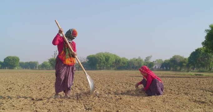 Indian villager lady woman wear saree cover head use farm rake dry tilled soil residue land early stage field rural area Worker senior female sitting on field do work pre sowing day time village place