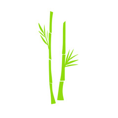 Obraz premium Bamboo Plant Illustration