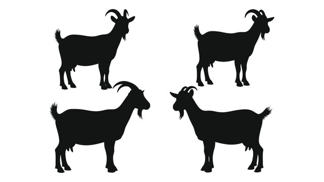 Four black silhouettes of goats varying in pose against a white background