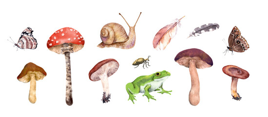 Isolated wildlife and fungi icons set with mushrooms, frog, snail, butterfly, and feathers in watercolor style on white for UI and prints. Part of a coordinated matching pattern set. © zzorik