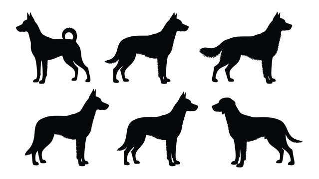 Silhouettes of various dog breeds standing and facing different directions
