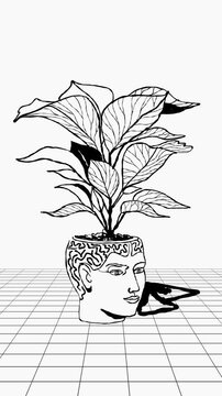 Surreal Illustrated Human Head Pot with Growing Plant, Animated Motion Reveal Drawing Process, Motion Reveal, Vertical