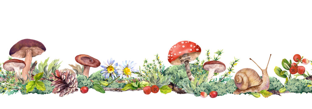 Forest border strip with mushrooms, pine needles, berries, flowers, and a snail in watercolor style on a white background for packaging and stationery. Part of a coordinated matching pattern set.