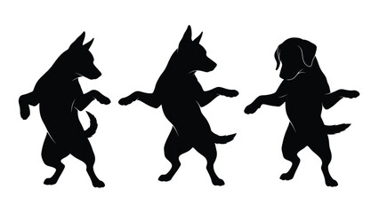 Silhouettes of three dogs in playful upright poses against a white background © MDMEHEDI