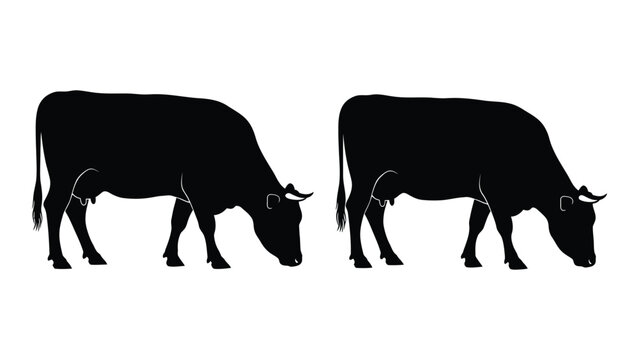 Two black silhouettes of cows grazing in a field depicted in a minimalist style