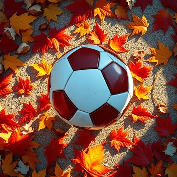 Autumn football, geo-patterned leaf mosaic, low-angle view ,  memory,  field