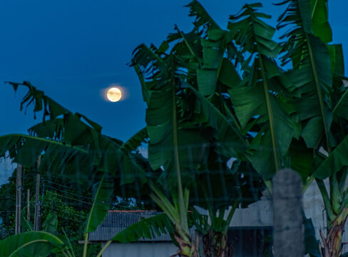 noite de luar