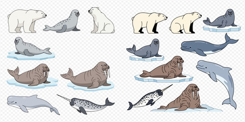 Arctic animals set: polar bears, seals, walruses, narwhals, and beluga whales on ice and in water. © MuammarAuliyan