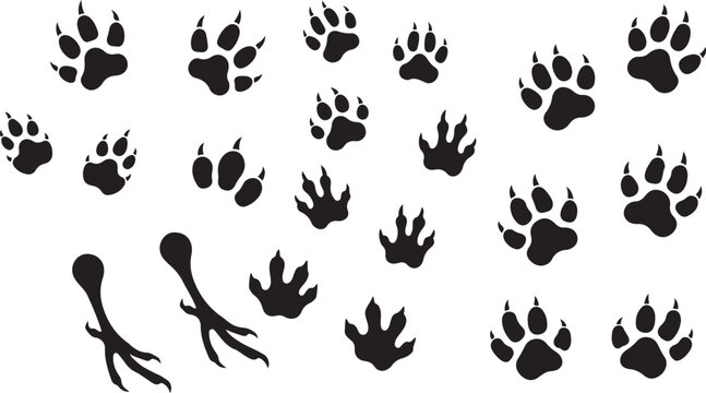 Comprehensive arrangement of black animal paw prints, shoe prints, and silhouettes of deer, foxes, and rabbits on a white background Keywords: paw print, animal tracks, footprint, shoe print