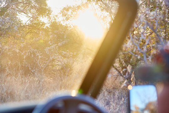 Golden Hour On An African Safari