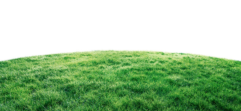 Green grass texture field isolated on transparent background png