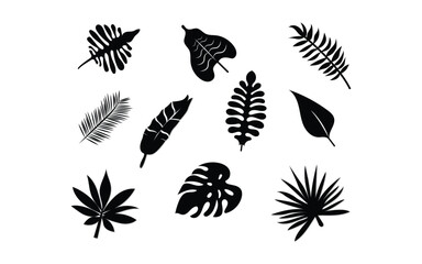 set tropical leaves  © Firoz Art Studio99
