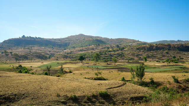 Rural agricultural landscape of the Ethiopian countryside